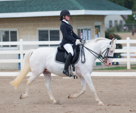 Dressage at Delaware
